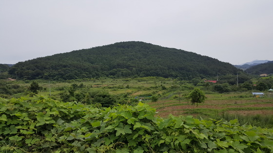 마을에서 바라본 앞산이 바로 봉황의 알(卵)이다. [백재권]