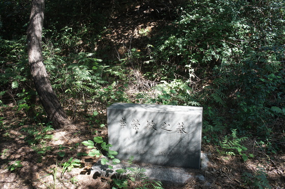 이장(移葬)으로 묘비만 덩그러니 남은 야구인 이영민 묘터    