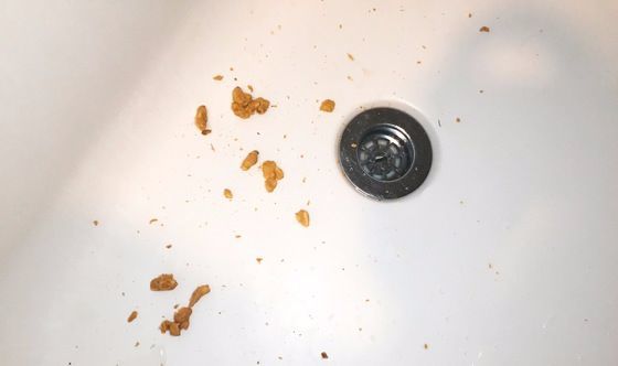 안에 땅콩 조각이 들어있는 것보다는 없는 땅콩버터가 청소용으로는 적당하겠다. 청소 효과의 차이는 없지만 청소 후 욕조에 땅콩들이 지저분하게 떨어진다.