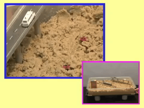 일본에서 액상화 모형 실험을 한 동영상. 플라스틱 통에 담긴 모래에 진동을 주자 물과 분리됐다. [사진 유튜브]