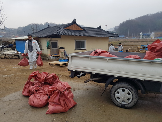 평창군농업기술센터 직원이 자루에 담은 토종닭을 옮기고 있다. 박진호 기자