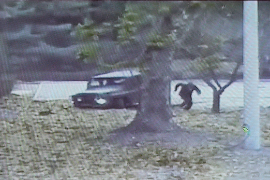 22일 공개된 북한군 귀순 상황 CCTV. 귀순병사가 차량을 버리고 남측으로 달리고 있다. 최정동 기자 