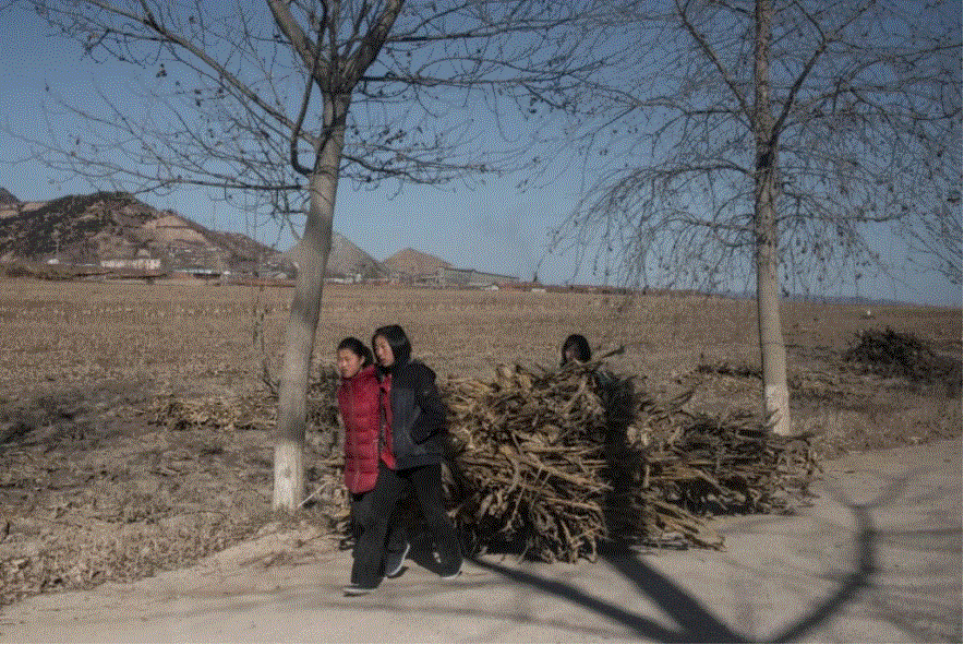 지난달 20일 함경북도 길주에서 어린이들이 나무가 실린 수레를 옮기고 있다. [AFP=연합뉴스] 