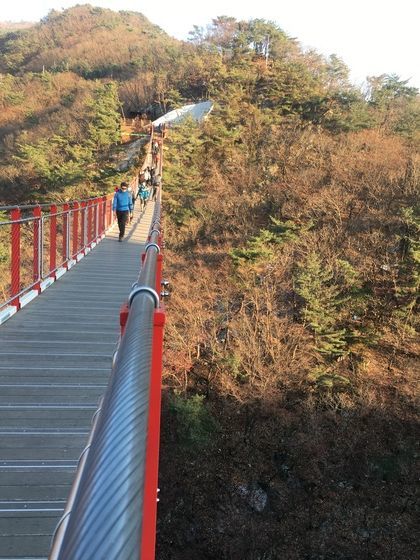 양주시가 28억을 들여 만든 감악산 출렁다리. 길이 150m, 폭 1.5m로 성인 900명이 동시에 건널 수 있도록 건설했다고 한다. 김홍준 기자