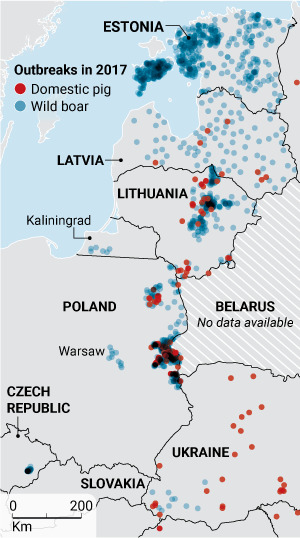 발틱해 연안 국가와 폴란드에서 발병했던 아프리카돼지출혈열(ASF)이 지난해 체코와 바르샤바 근처에서도 발병했다. [자료:사이언스저널, 세계동물건강기구] 
