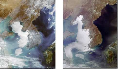 미국 항공우주국(NASA)의 지구관측위성 테라(TERRA) 등이 촬영한 지난 24일 오후 1시 38분(왼쪽)과 지난 25일 오전 11시 5분 위성사진. 위성사진에는 한반도 서쪽에 흰색이 짙게 나타나 있다. 흰색 덩어리는 미세먼지가 아닌 바다 안개라고 설명하는 전문가들도 있다. [연합뉴스]