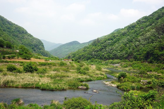 생동하는 봄을 느낄 수 있는 섬진강 문학마을길. [사진 한국관광공사]