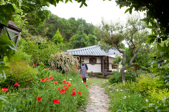 효산리 정원은 전남 화순 고인돌유적지 부근에 숨어 있다. 꽃꽂이 강사로 일하던 임경혜씨가 은퇴한 남편과 함께 가꾸는 공간이다. 꽃양귀비와 공조팝나무꽃 만개한 정원에서 임씨가 꽃을 보고 있다. [최승표 기자]