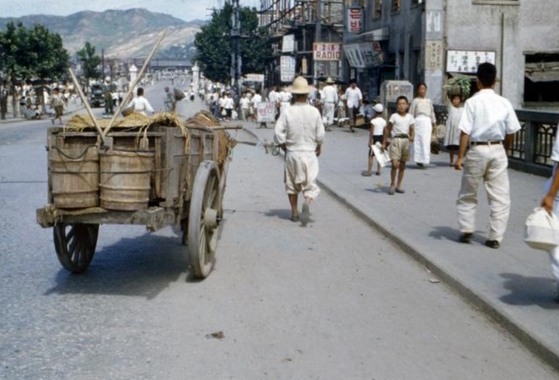 1951년 대전 목척교에서 인분통을 실은 우마차가 거리를 지나고 있다. 멀리 대전역이 보인다. 