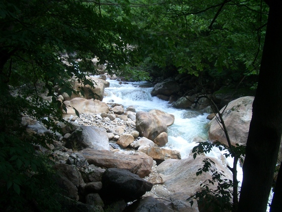 지리산 국립공원 남쪽 자락의 대성골. 지리산 깊은 골짜기에서도 가장 내밀한 골짜기로 통한다. [사진 이원근]