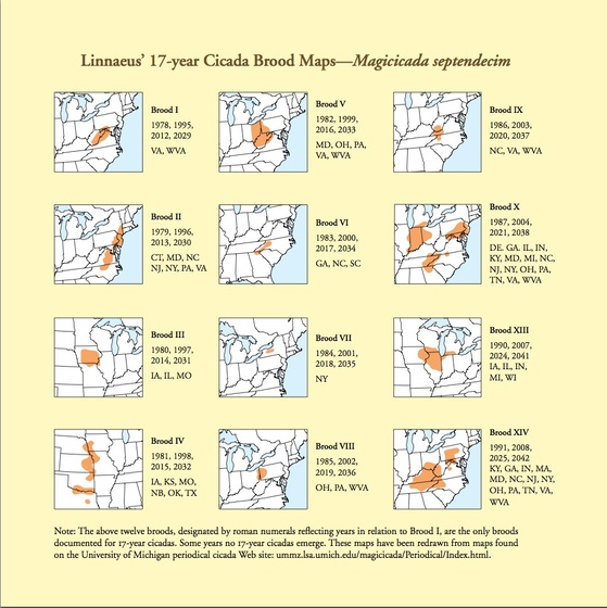 주기 매미 출현 지도. 집단(Brood)에 따라 출현 장소와 출현 시기가 다르다.