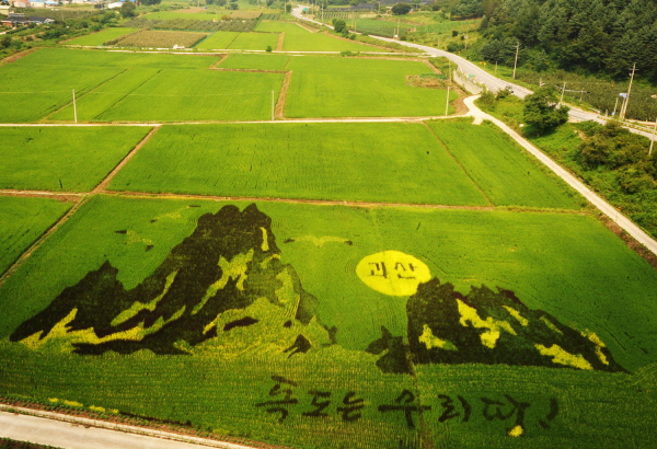 만든곳: 한국 네티즌본부 카페