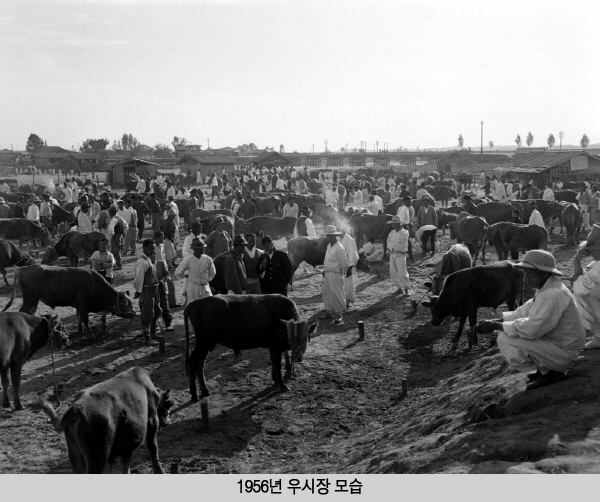 만든곳: Daum 카페: 한국 네티즌본부