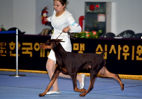 사진이 안 보일때:→우칙클릭 →사진보기 클릭. 작성: Daum카페: 한국 네티즌본부