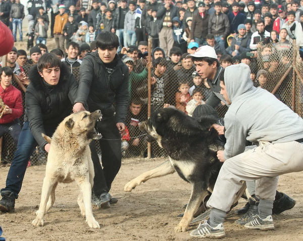 사진이 안보일 때→우측클릭→'사진보기' 클릭, OK. ☞작성: Daum카페: 한국 네티즌본부