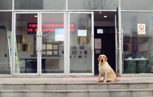 사진이 안보일 때→우측클릭→'사진보기' 클릭, OK. ☞작성: Daum카페: 한국 네티즌본부