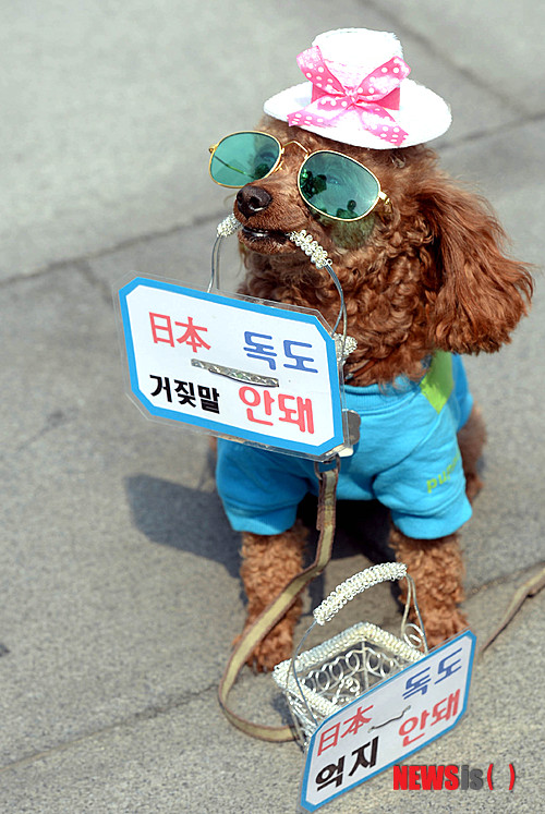 사진이 안보일 때→우측클릭→'사진보기' 클릭, OK. ☞작성: Daum카페: 한국 네티즌본부