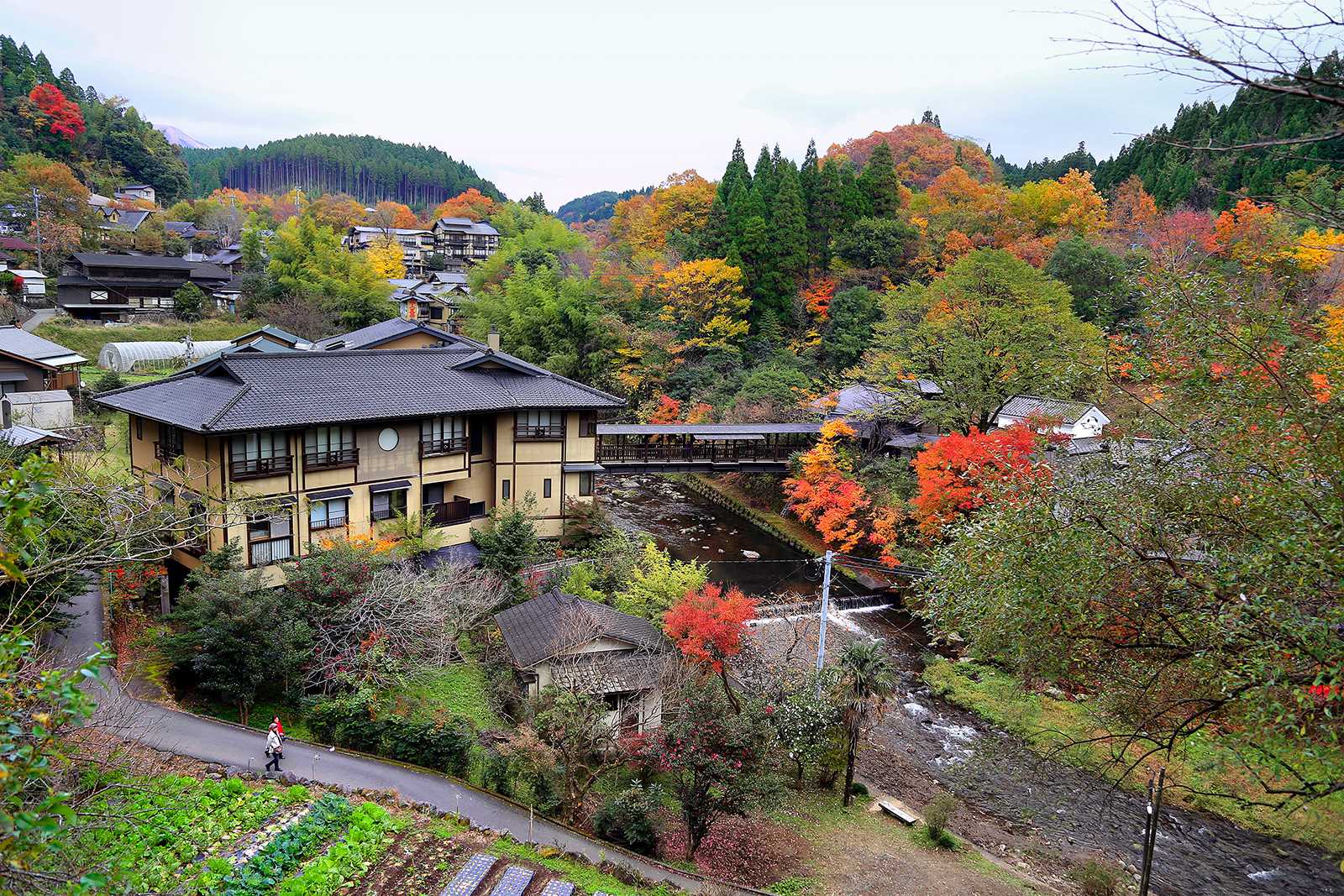 일본의 대표적인 온천마을 규슈 구로카와.