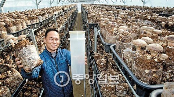 이천 청운표고 농장에서 조해석 대표가 봉지 배지(왼쪽)와 자체 개발한 용기배지를 들어보였다. 조 대표는 “용기배지가 상용화되면 연 300억원 수입되는 중국산 배지를 국산화할 수 있다”고 말했다. [이천=임현동 기자]