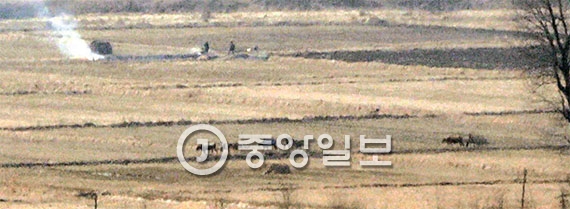 북한 주민이 소달구지를 타고 이동하는 모습도 보였다. [도라산=장진영 기자]