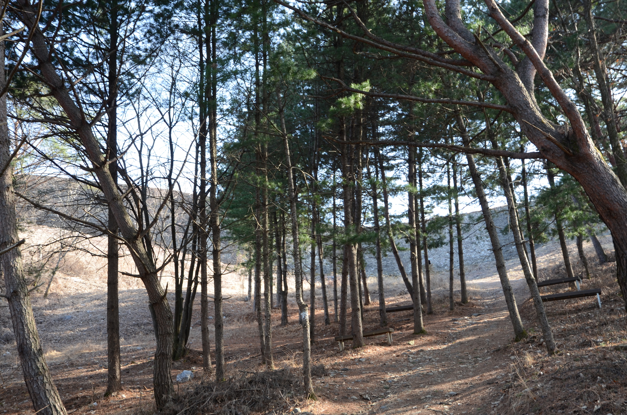 충북 단양군에 있는 소백산자락길은 소백산국립공원을 걷는 길이다.