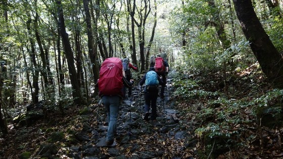 한라산 둘레길 동백길 코스.