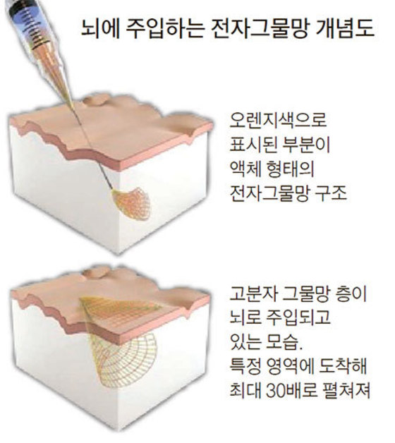 자료:네이처 나노테크놀로지·하버드대