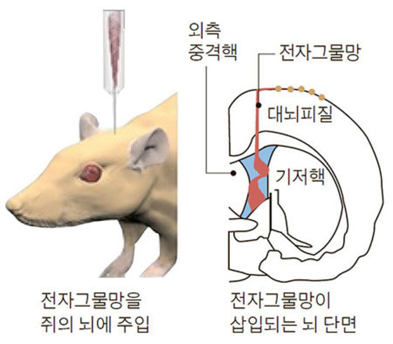 자료:네이처 나노테크놀로지·하버드대