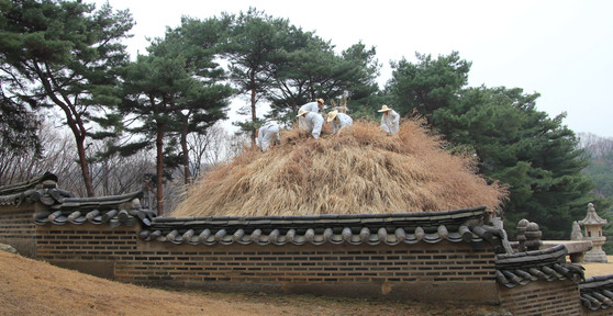 능 옆에서 본 작업.고즈넉한 담장과 오래된 소나무,봉분을 덮은 억새 등이 어울려 묘한 정취를 자아내고 있다. 