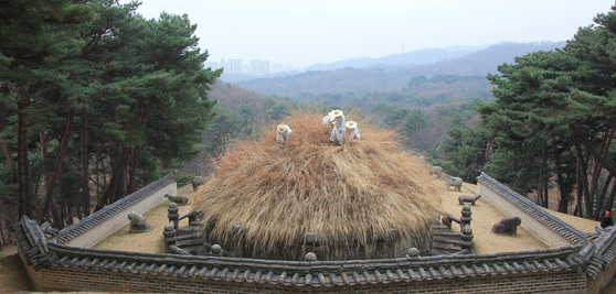 마침내 시작된 벌초.멀리 뒤로 구리시의 아파트가 보인다.