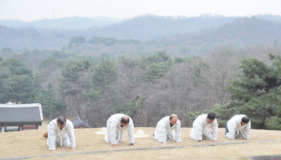 벌초를 시작하기 전  인부들이 왕릉을 향해 절을 하고 있다