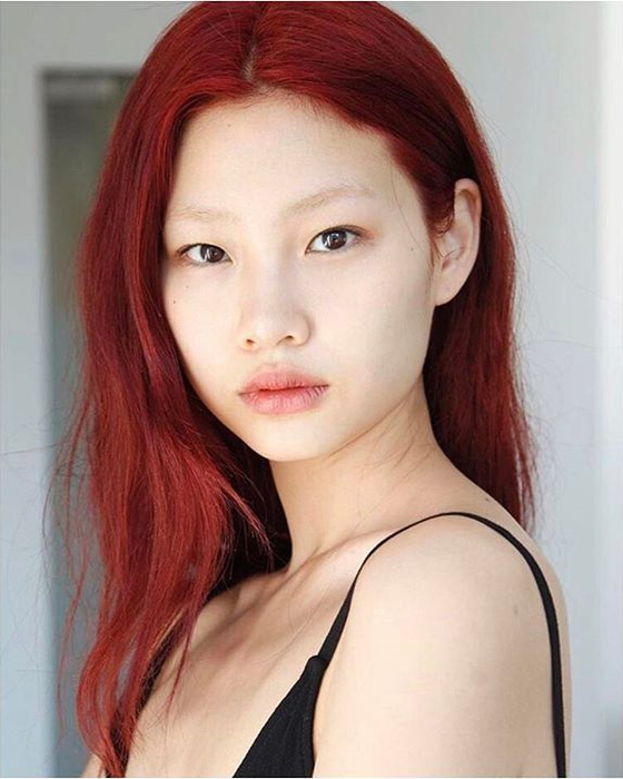 Meet Jung Hoyeon: Korean Top Model Who is the Girlfriend of Actor Lee