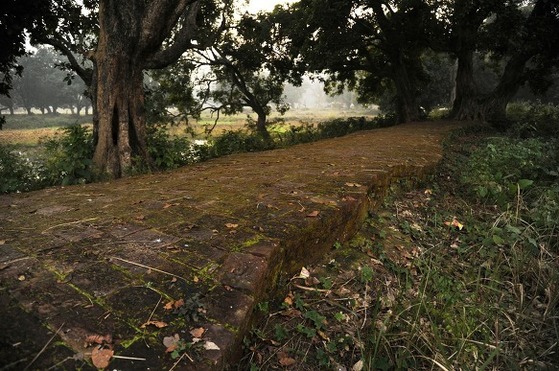 네팔 땅에 있는 카필라바스투 성의 성벽터. 아직도 흙과 수풀에 성벽의 상당 부분이 묻혀 있다. 