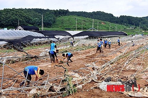 만든곳: 한국 네티즌본부 카페