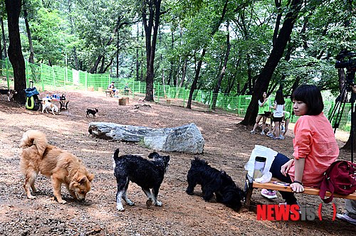 만든곳: 한국 네티즌본부 카페