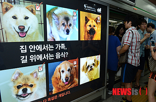 만든곳: 한국 네티즌본부 카페