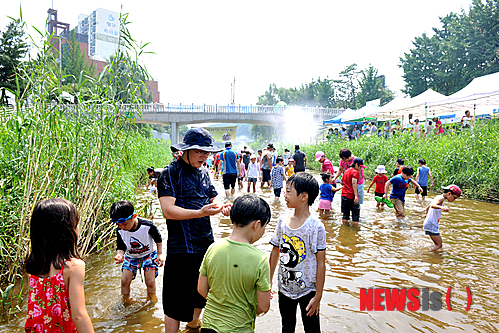 만든곳: 한국 네티즌본부 카페