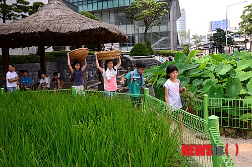 만든곳: 한국 네티즌본부 카페