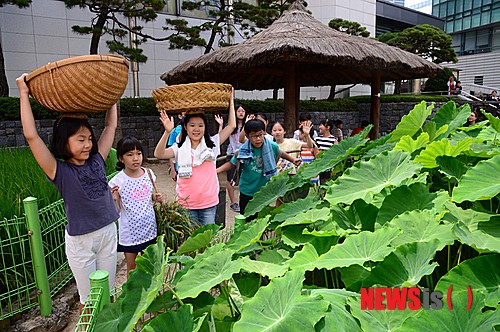 만든곳: 한국 네티즌본부 카페