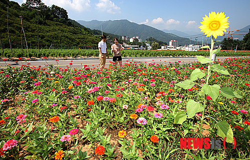 만든곳: 한국 네티즌본부 카페