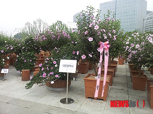 만든곳: 한국 네티즌본부 카페