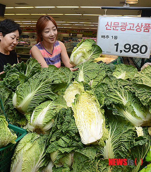 만든곳: 한국 네티즌본부 카페