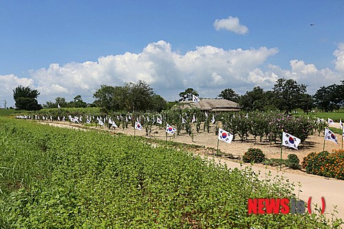 만든곳: 한국 네티즌본부 카페