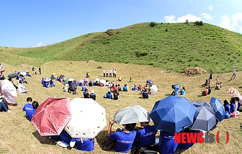 만든곳: 한국 네티즌본부 카페