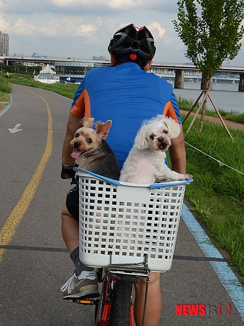 만든곳: 한국 네티즌본부 카페