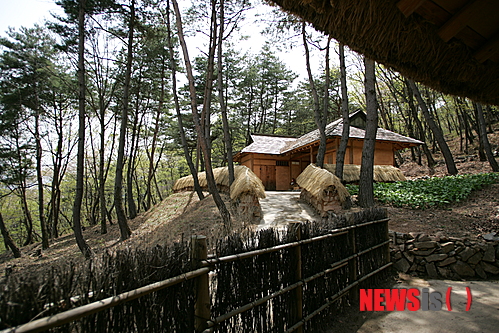 만든곳: 한국 네티즌본부 카페