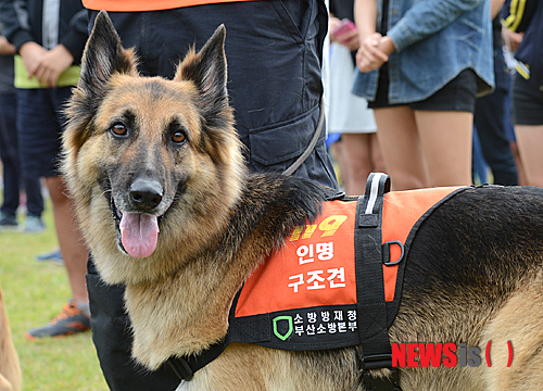 만든곳: Daum 카페: 한국 네티즌본부