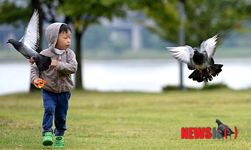 만든곳: Daum 카페: 한국 네티즌본부