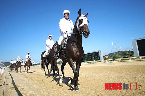 만든곳: Daum 카페: 한국 네티즌본부