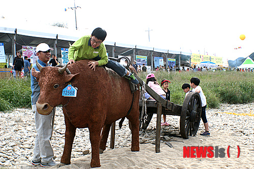 만든곳: Daum 카페: 한국 네티즌본부